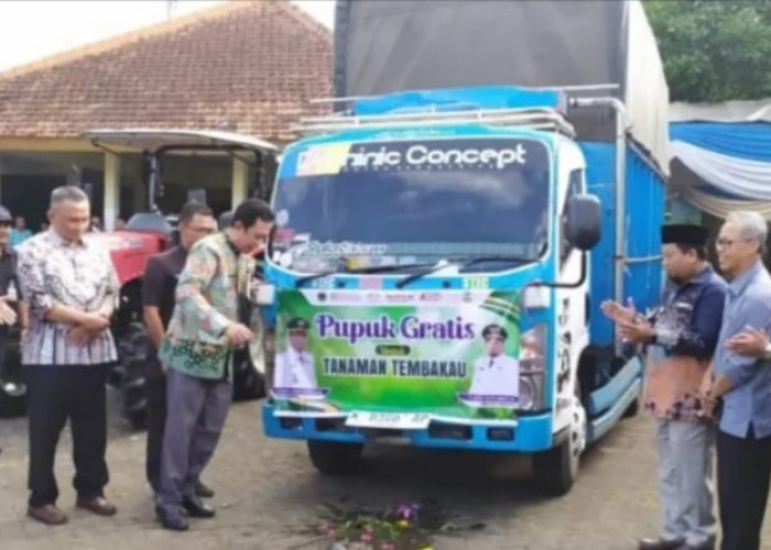 Pemkab Bondowoso Salurkan 130 Ton Pupuk NPK Gratis pada 4.366 Petani Tembakau 