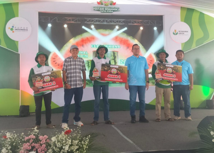 Tingkatkan Produktifitas Ditengah Cuaca Ekstrem, Petani Se-Tapalkuda Ikuti Lomba Budidaya Semangka