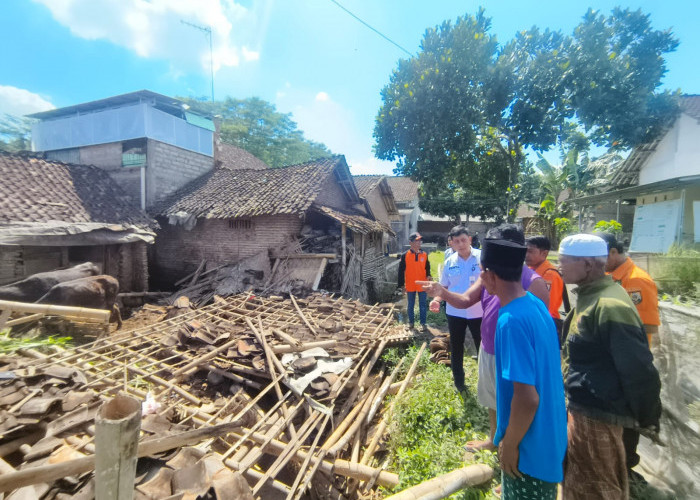 Dapur dan Kandang Sapi Ambruk, Nenek di Jember Tewas