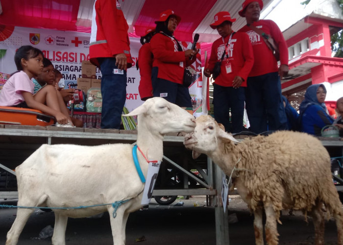 Tarik Minat Peserta, Sosialisasi Kebencanaan di Jember Berhadiah Kambing dan Ayam