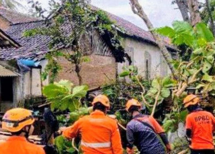 269 Rumah Rusak di Bondowoso Akibat Hujan Angin Kencang Pekan Lalu