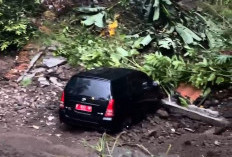 Mobil Plat Merah Diskominfo Jember Terseret Longsor ke Sungai