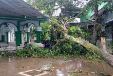 Hujan Angin Porak Porandakan Ratusan Rumah pada Delapan Kecamatan di Bondowoso