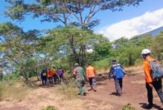 Kakek di Situbondo Hilang Saat Menggembala Sapi di Hutan Taman Nasional Baluran