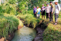 Main Bersama Teman di  Sawah, Anak 10 Tahun di Situbondo Tewas Tenggelam di Kubangan Air