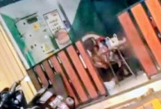 Viral, Sejoli Mesum Siang Hari di Kafe Toko Modern Bondowoso 