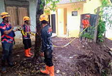 Hujan Deras Seharian Picu Tanah Longsor di Dua Desa Kecamatan Curahdami Bondowoso