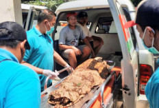 Hilang Saat Bermain di Halaman Rumah, Bocah 5 Tahun di Situbondo Ditemukan Meninggal di Sungai 