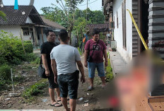 Diduga Dipicu Batas Tanah, Warga Kalisat Jember Dibacok Hingga Tewas