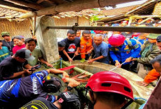 Emak 49 Tahun di Bondowoso Selamat Jatuh ke Sumur Kering Sedalam 25 Meter