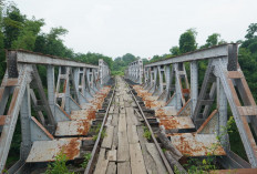 BTP Surabaya Survey Identifikasi Desain Jalur Kereta Api Jember - Situbondo