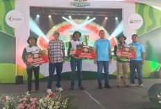 Tingkatkan Produktifitas Ditengah Cuaca Ekstrem, Petani Se-Tapalkuda Ikuti Lomba Budidaya Semangka