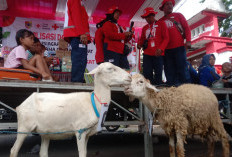 Tarik Minat Peserta, Sosialisasi Kebencanaan di Jember Berhadiah Kambing dan Ayam