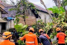 269 Rumah Rusak di Bondowoso Akibat Hujan Angin Kencang Pekan Lalu